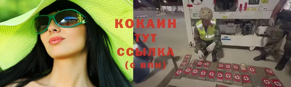 стаф Осташков