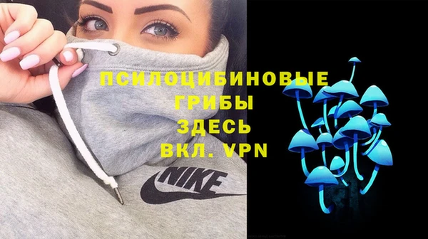 гашик Абаза