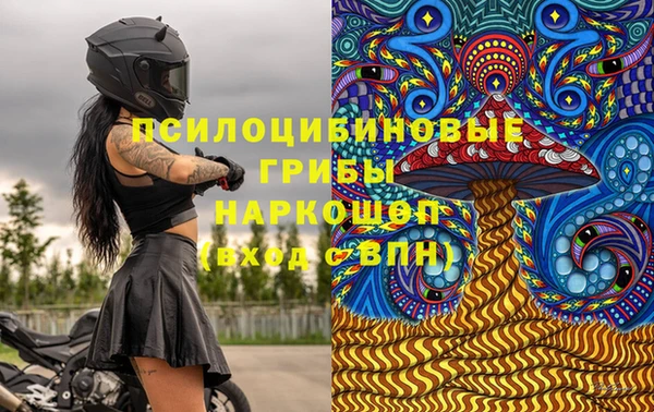 ПСИЛОЦИБИНОВЫЕ ГРИБЫ Остров